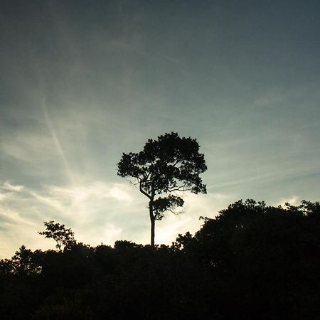 Raizando Ecologia Humana Alto Paraiso de Goias Exterior photo