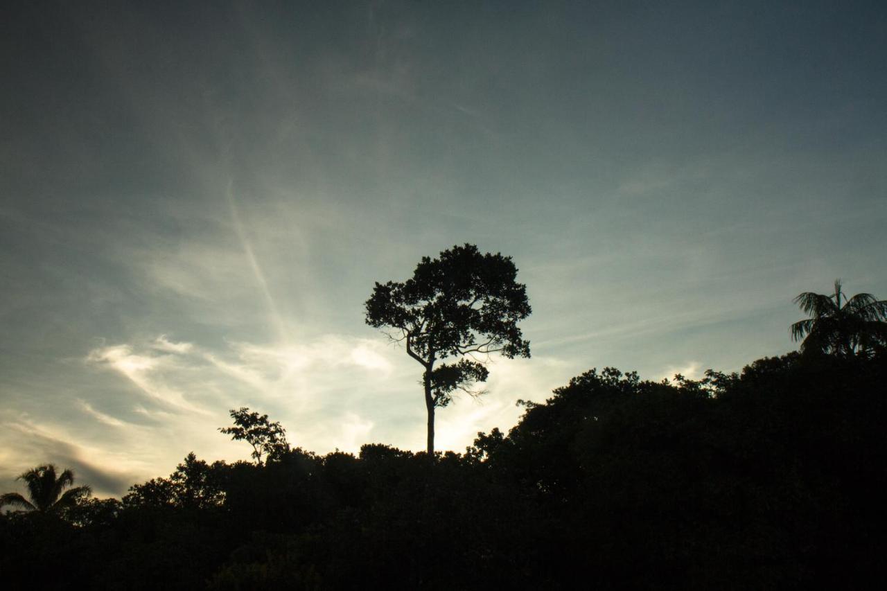 Raizando Ecologia Humana Alto Paraiso de Goias Exterior photo